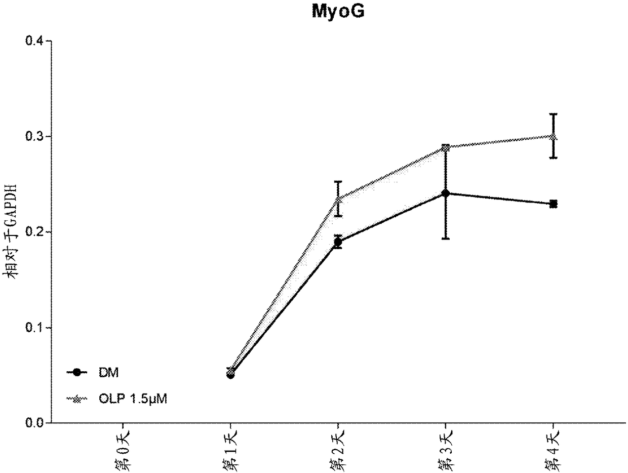 Compositions and methods using a polyphenol for musculoskeletal health