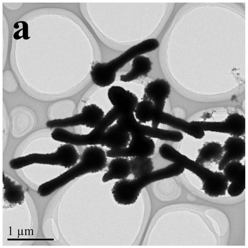 Dandelion-shaped gold nanoparticles@polyaniline nanocomposite prepared by one-pot method and its preparation method and application