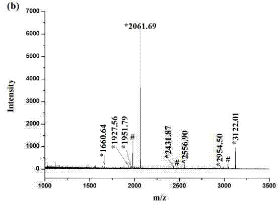 Hydrophilic metal ion immobilization affinity magnetic bead and preparation and application thereof