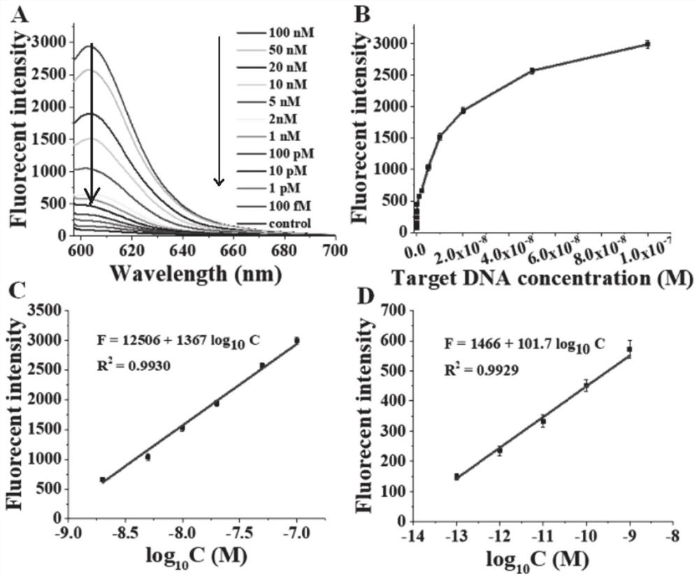 Fluorescent probe based on oxidative damage bases, and test kit and method for directly detecting DNA methylation