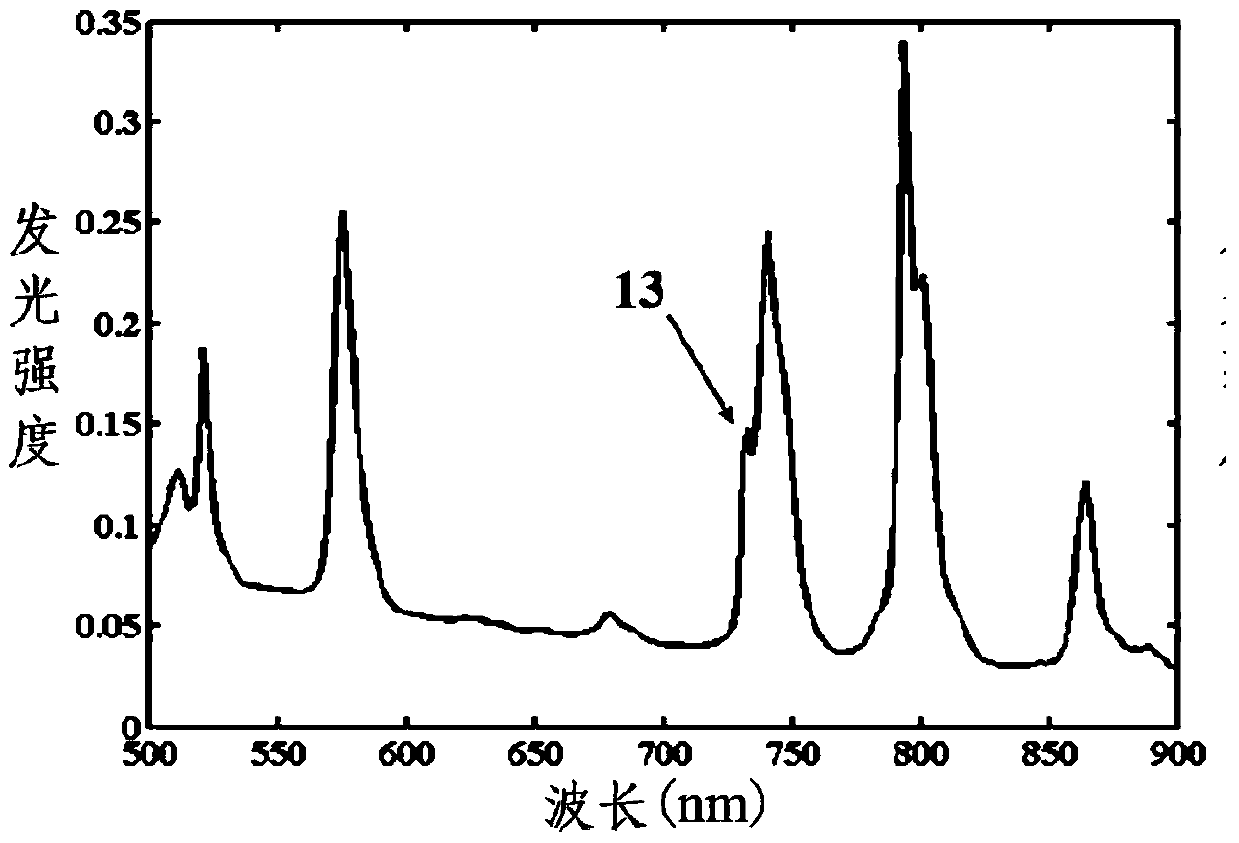 New application of neodymium ion-sensitized upconversion nanocrystals and high-resolution multiphoton microscopy system