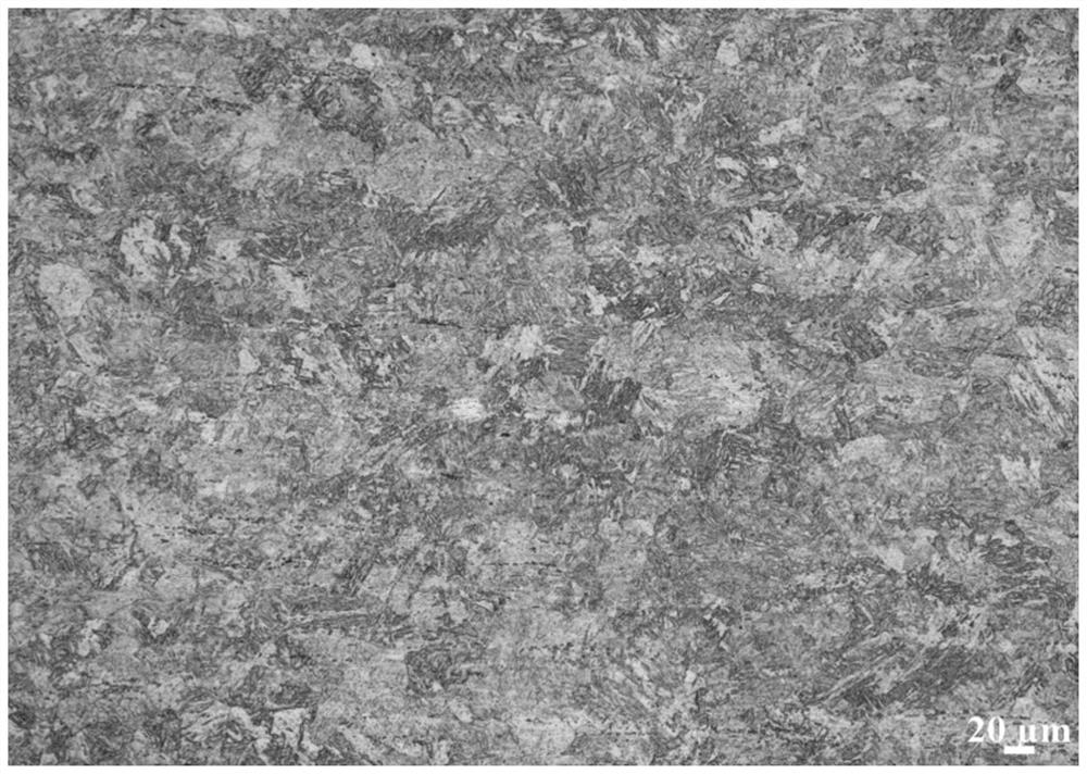 Liquid lead bismuth corrosion resistant austenitic stainless steel for high-temperature fasteners and preparation method thereof