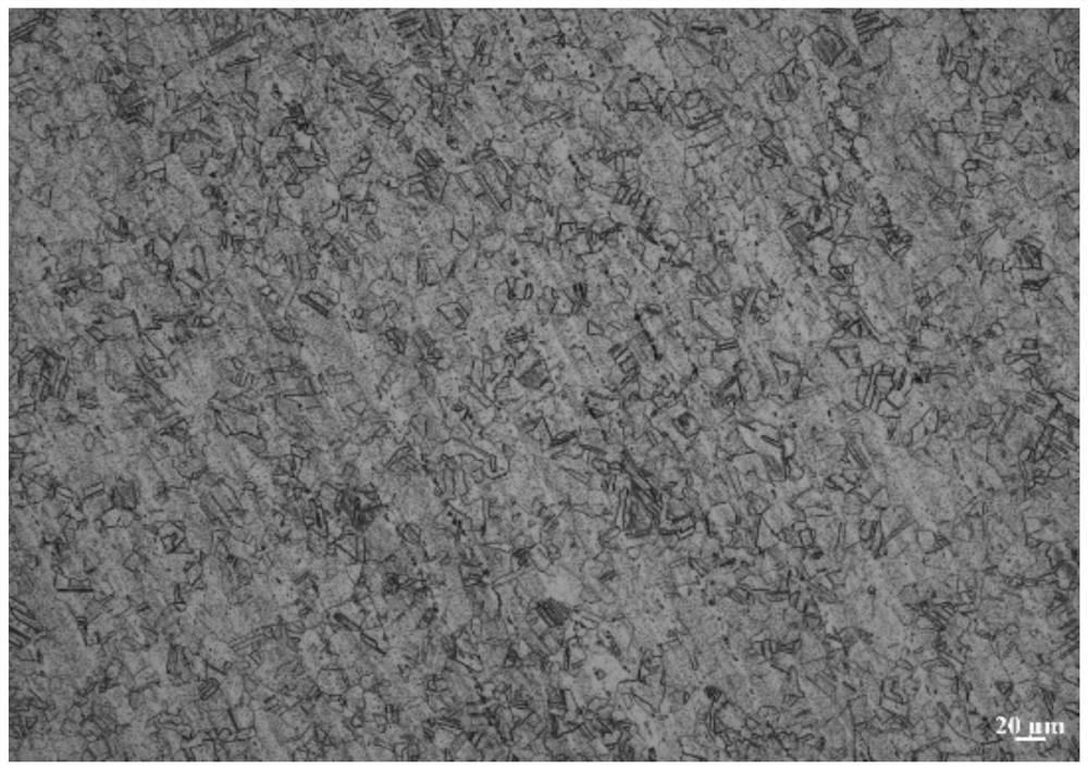 Liquid lead bismuth corrosion resistant austenitic stainless steel for high-temperature fasteners and preparation method thereof