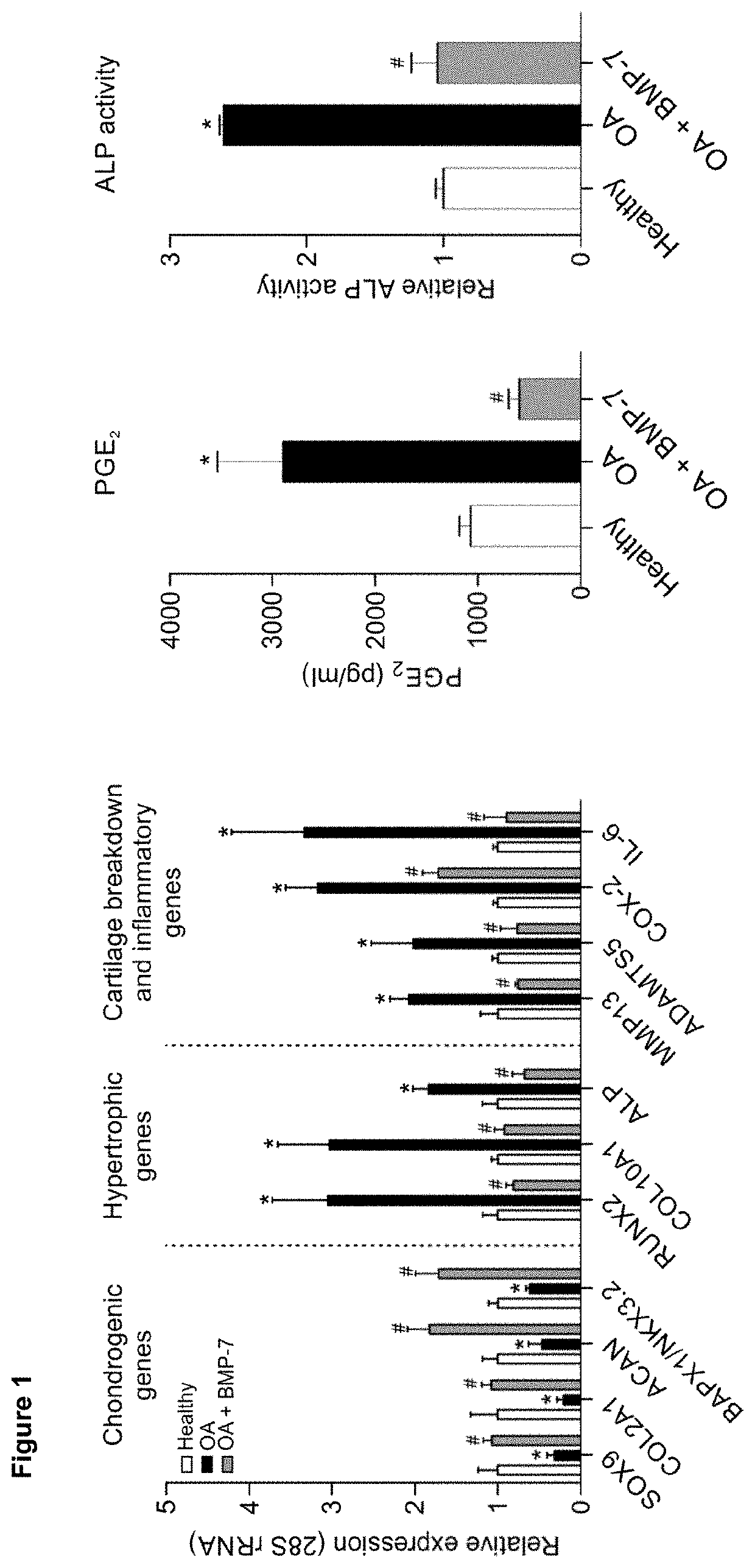 Method for the treatment or prevention of osteoarthritis