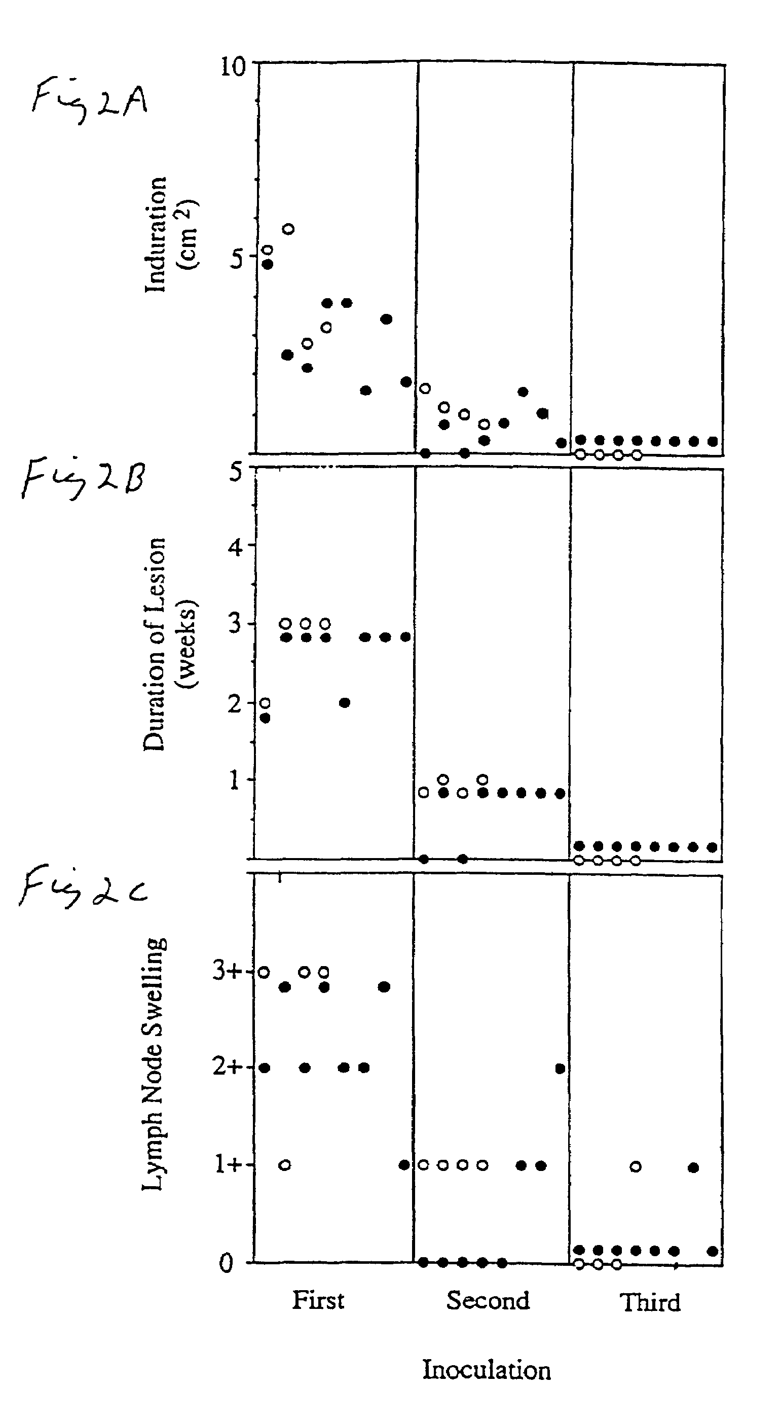 Generation of immune response to prostate-specific antigen (PSA)