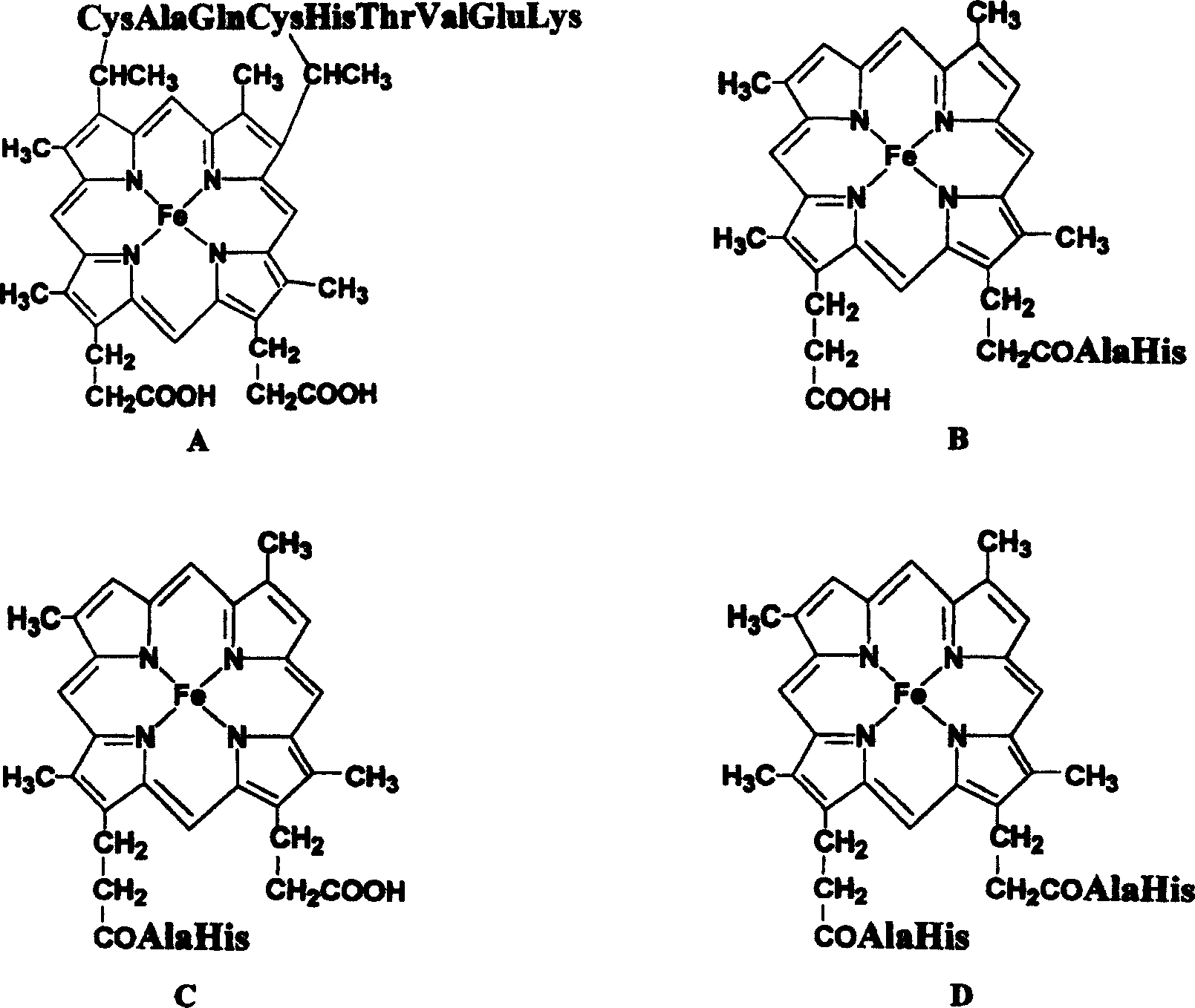 Trivalent iron porphrin and its derivative-short peptide compound and its synthesis