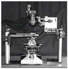fpm-based light-field microscopy