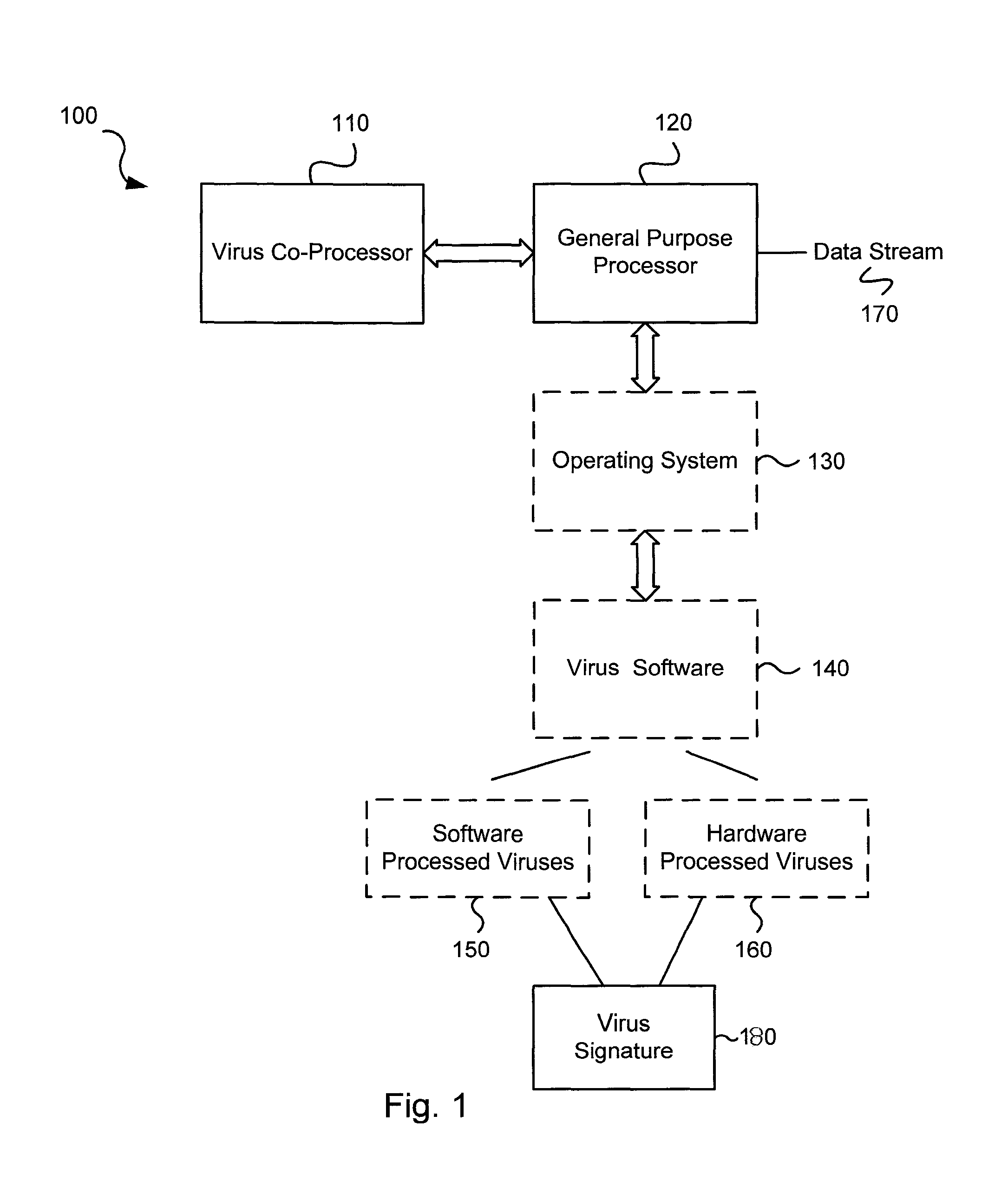 Operation of a dual instruction pipe virus co-processor