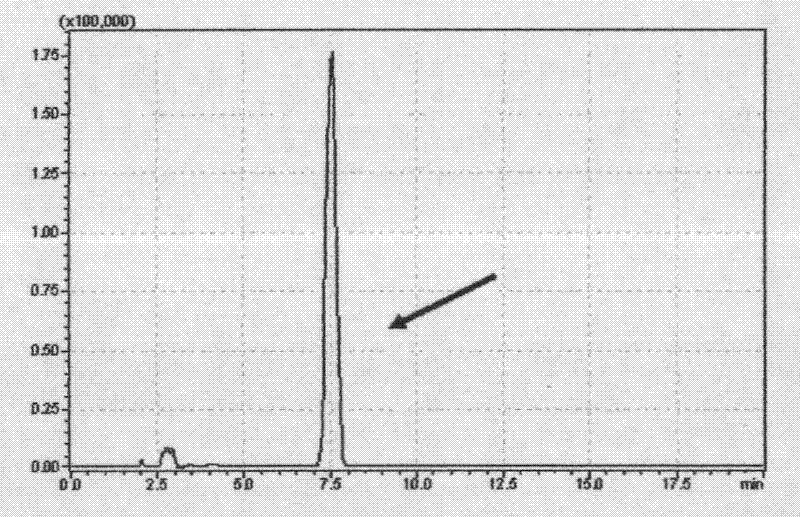 Absolute ethyl alcohol injection containing docetaxel and application thereof in preparing medicaments for treating tumors under ultrasonic guidance