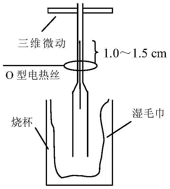 A kind of coaxial type composite oxygen microelectrode and preparation method thereof