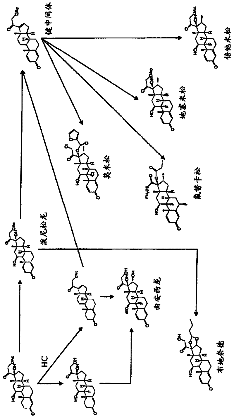Enzyme protein for cutting sterol side chain and its application