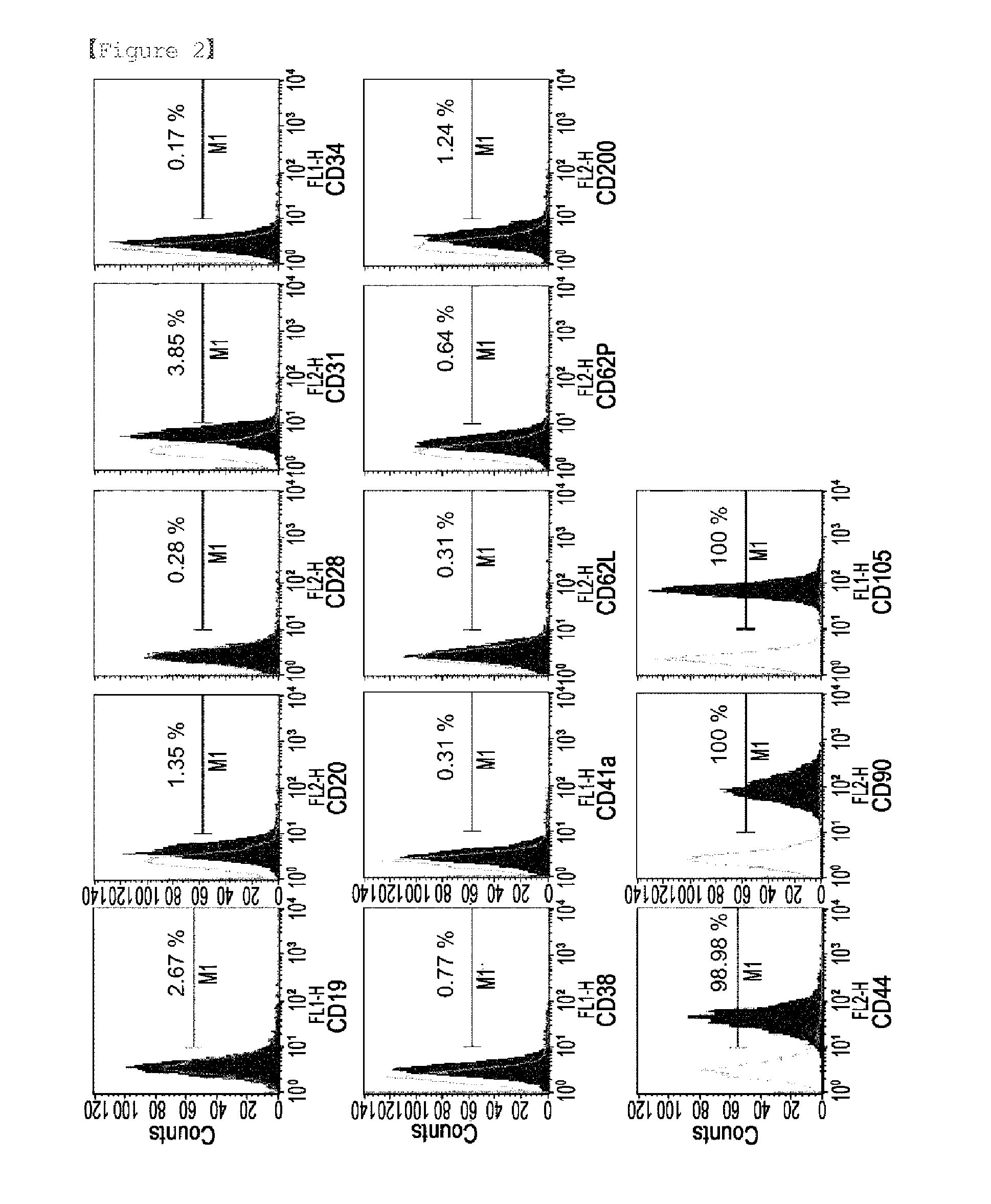 Equine Amniotic Membrane-Derived Mesenchymal Stem Cells