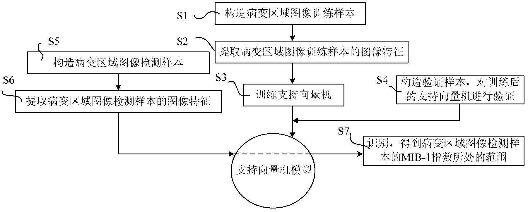 Brain tumor MIB-1 index range detection method