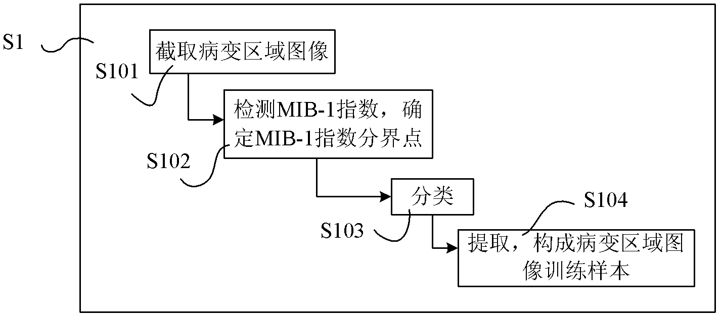 Brain tumor MIB-1 index range detection method