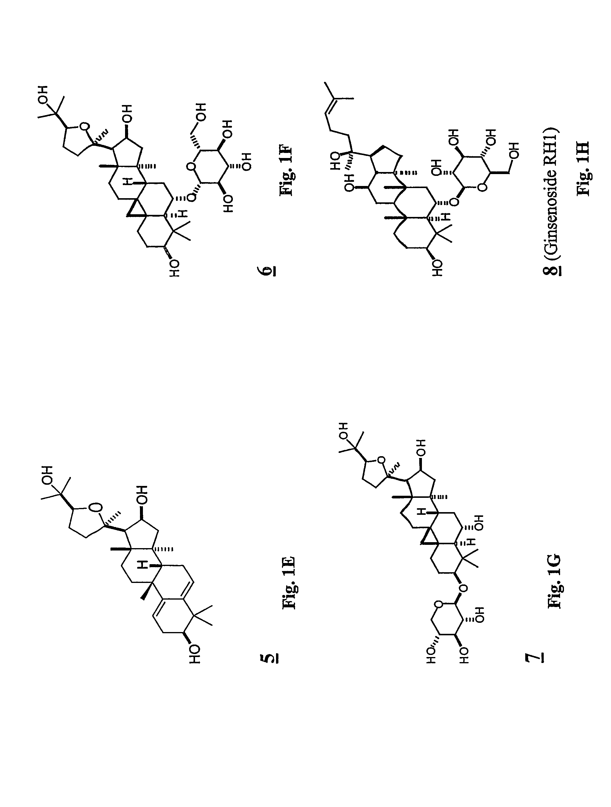 Compositions and Methods for Increasing Telomerase Activity