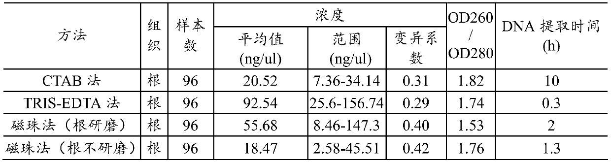 Rice DNA sample extraction method suitable for high-throughput genotyping