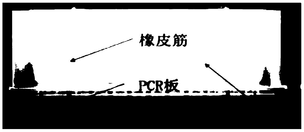 Rice DNA sample extraction method suitable for high-throughput genotyping