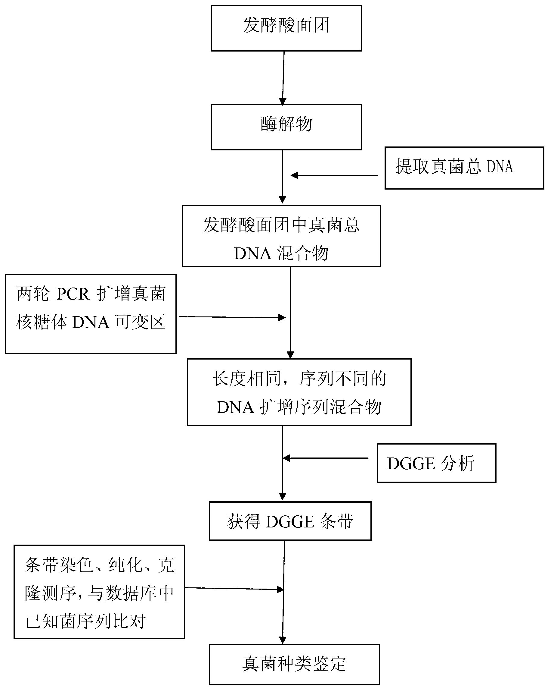 Method for identifying fungi microflora composition in fermented sourdough