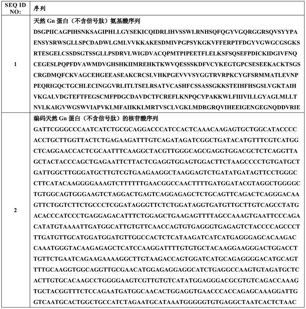 Truncated Gn protein of severe fever with thrombocytopenia syndrome virus and application thereof