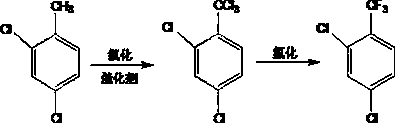 2,4-dichlorobenzotrifluoride preparation method
