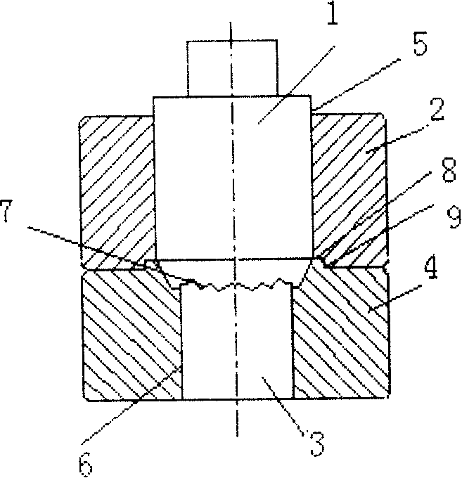 Preparation method of handicraft type salt and mold for press forming the same