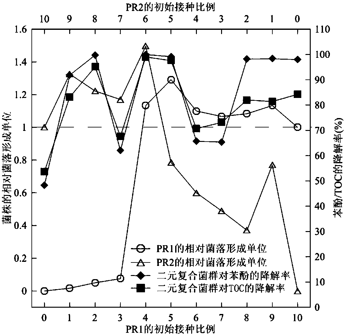 A method for constructing a binary complex bacterial group for biodegradation in wastewater