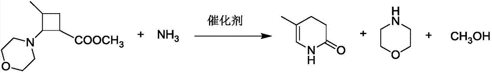 Method for catalytic synthesis of 5-methyl-3,4-dihydropyridin-2 (1H)-one chemical intermediate