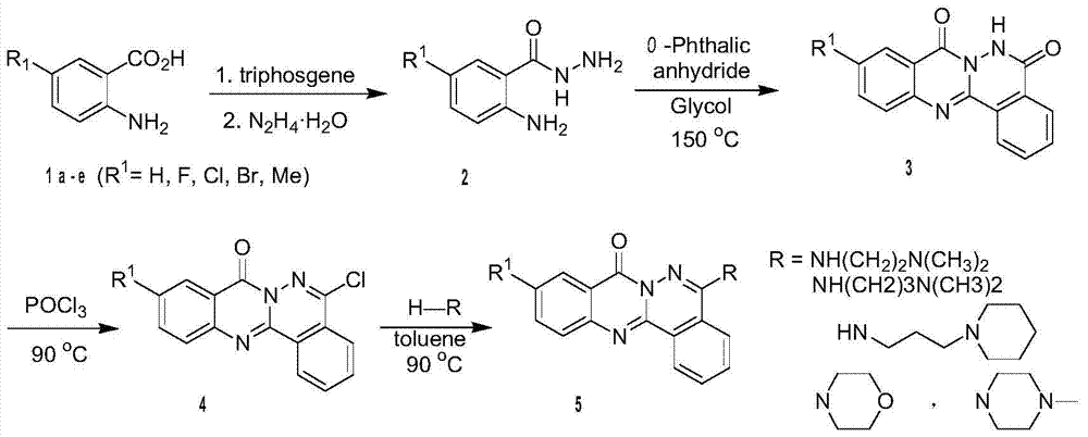 Phthalazino[1,2,b]quinazolin-8-one compound and its preparation method and application in antitumor drugs