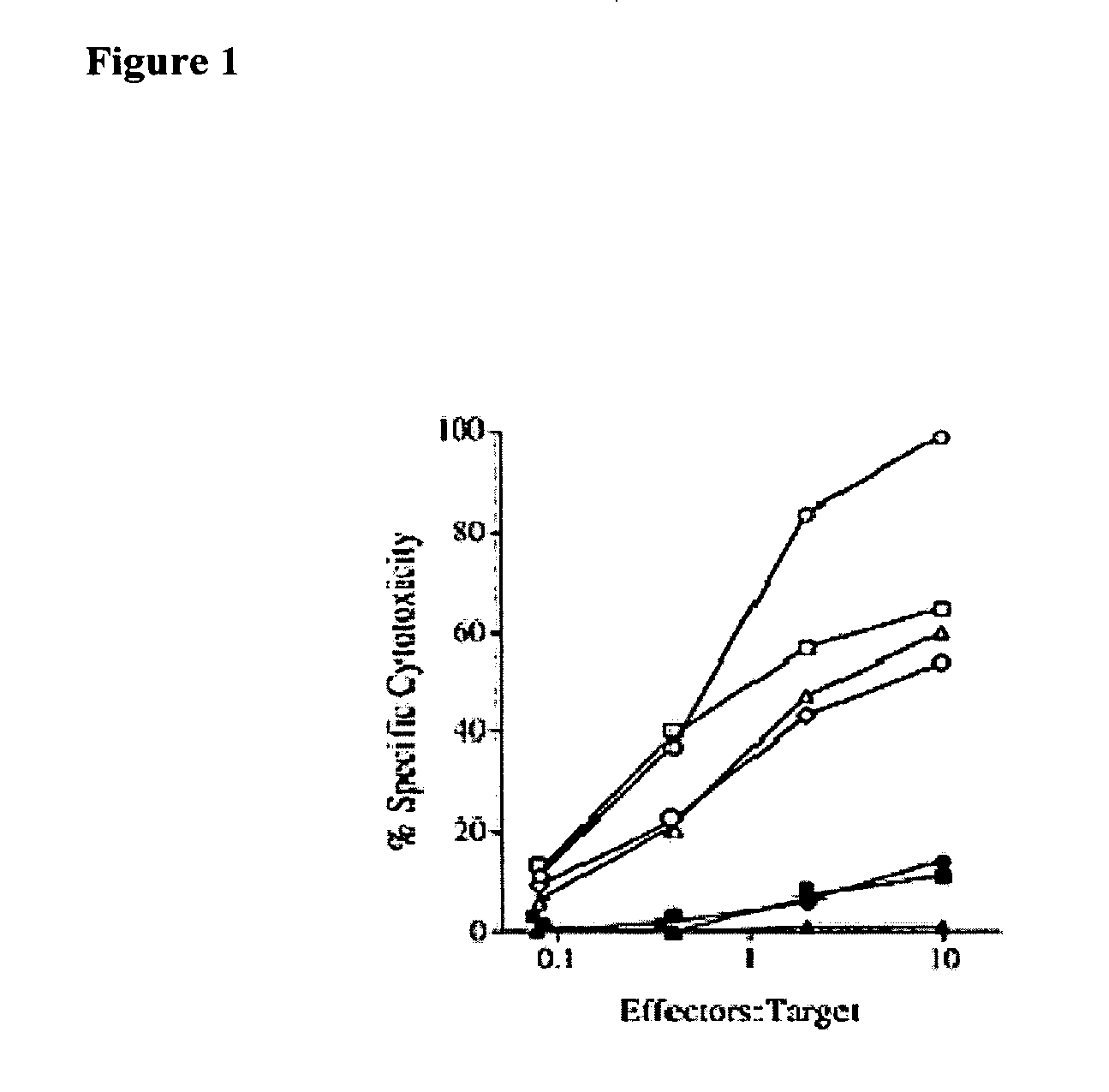 Mage-a3/hpv 16 peptide vaccines for head and neck cancer