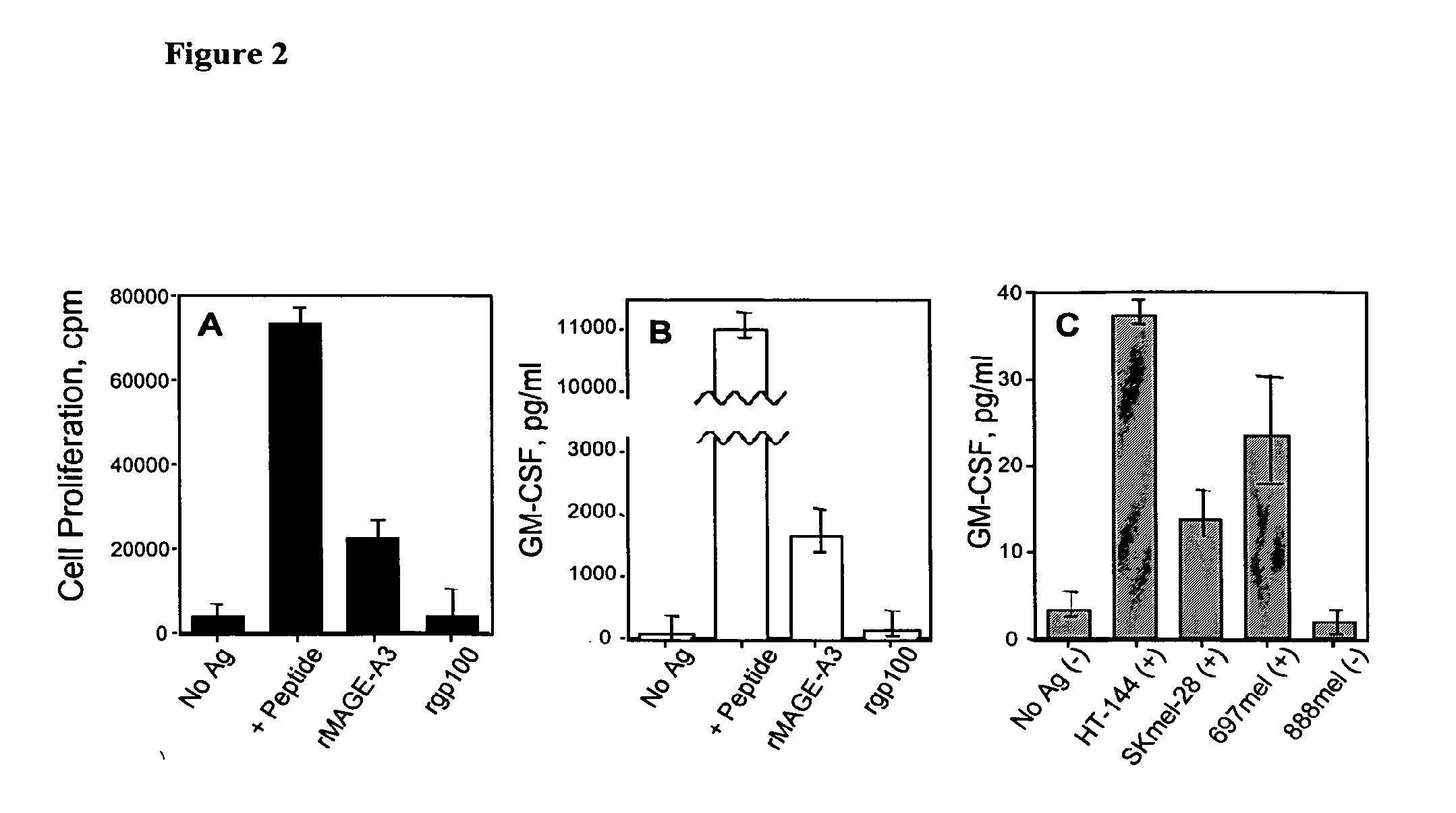 Mage-a3/hpv 16 peptide vaccines for head and neck cancer