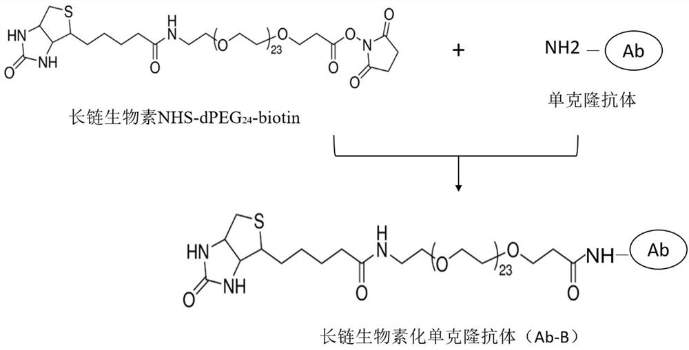 Immunofluorescence chromatography detection card and method for simultaneous detection of florfenicol and trimethoprim in poultry eggs