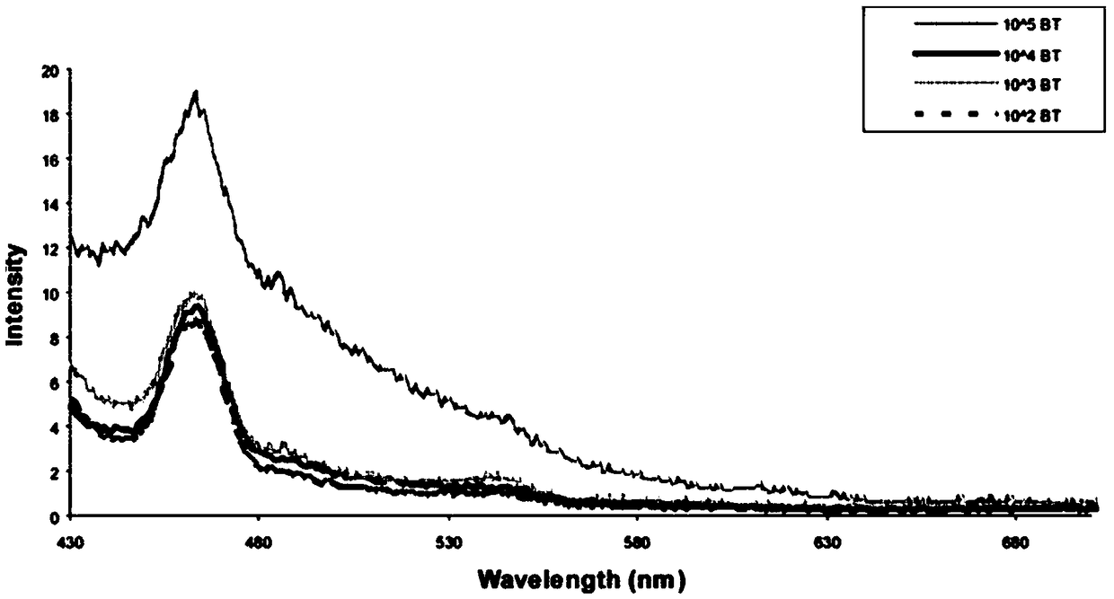 Fluorescence determination method based on nucleic acid aptamer-quantum dot in combination with bacillus thuringiensis spore