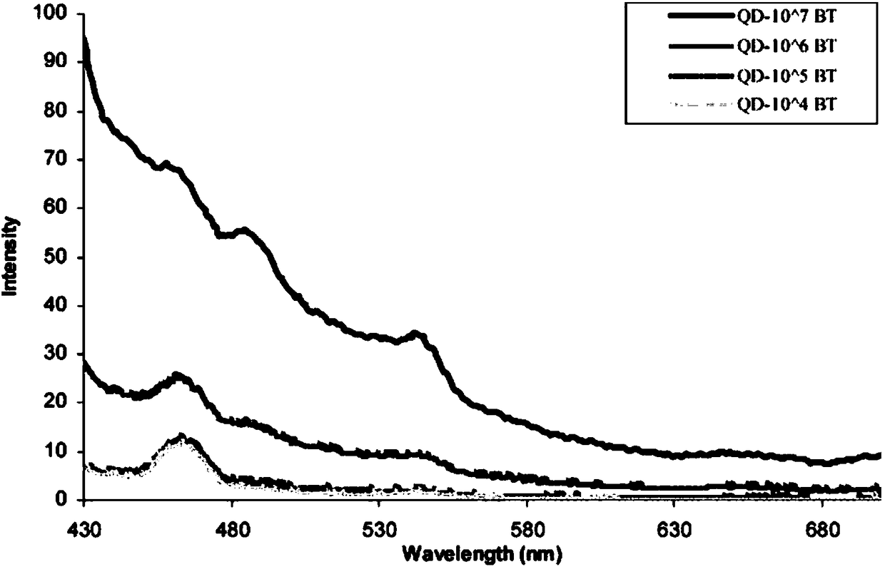 Fluorescence determination method based on nucleic acid aptamer-quantum dot in combination with bacillus thuringiensis spore