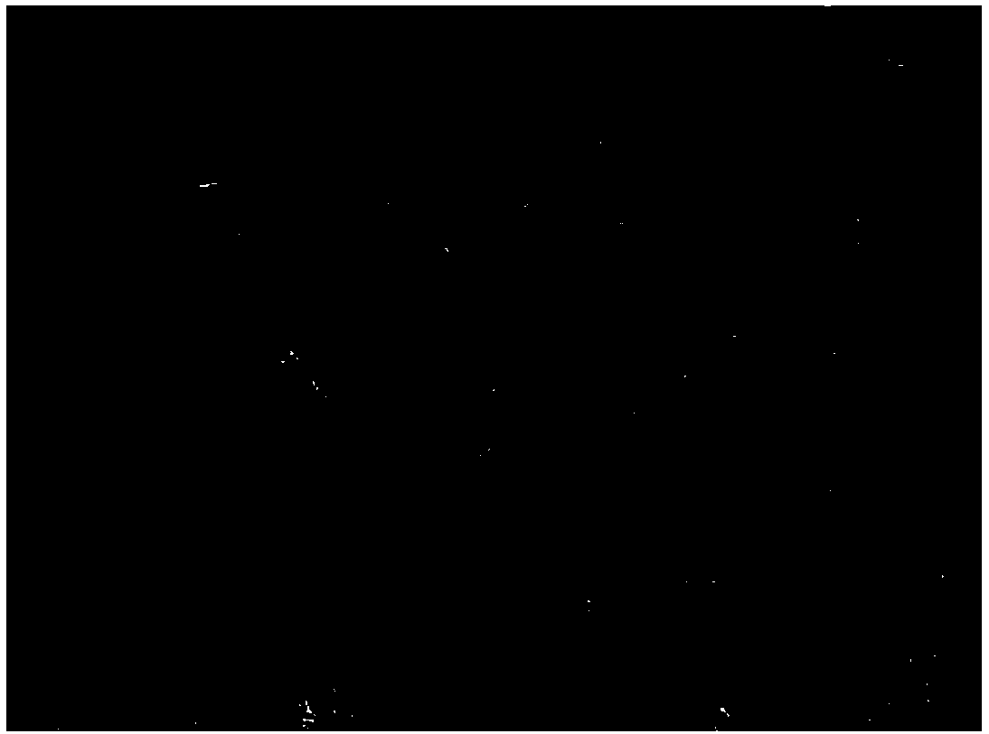 Medicine for treating coronary atherosclerosis and preparation method of medicine