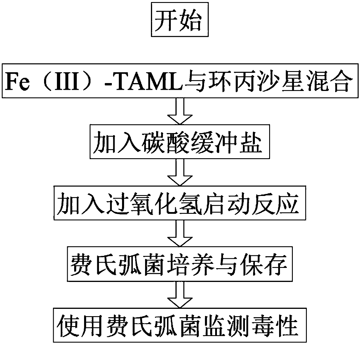 Catalytic oxidation method for efficiently degrading ciprofloxacin and evaluation method of toxicity of product of ciprofloxacin