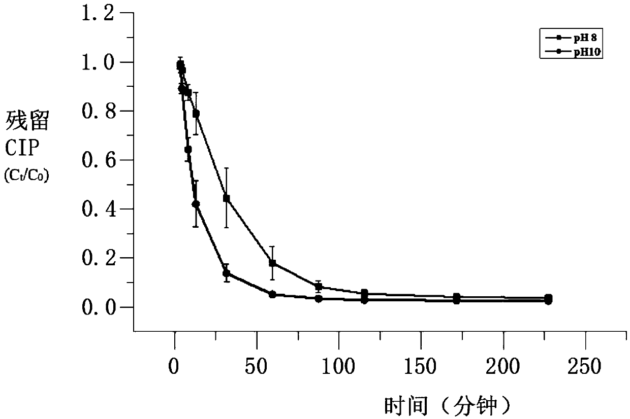 Catalytic oxidation method for efficiently degrading ciprofloxacin and evaluation method of toxicity of product of ciprofloxacin