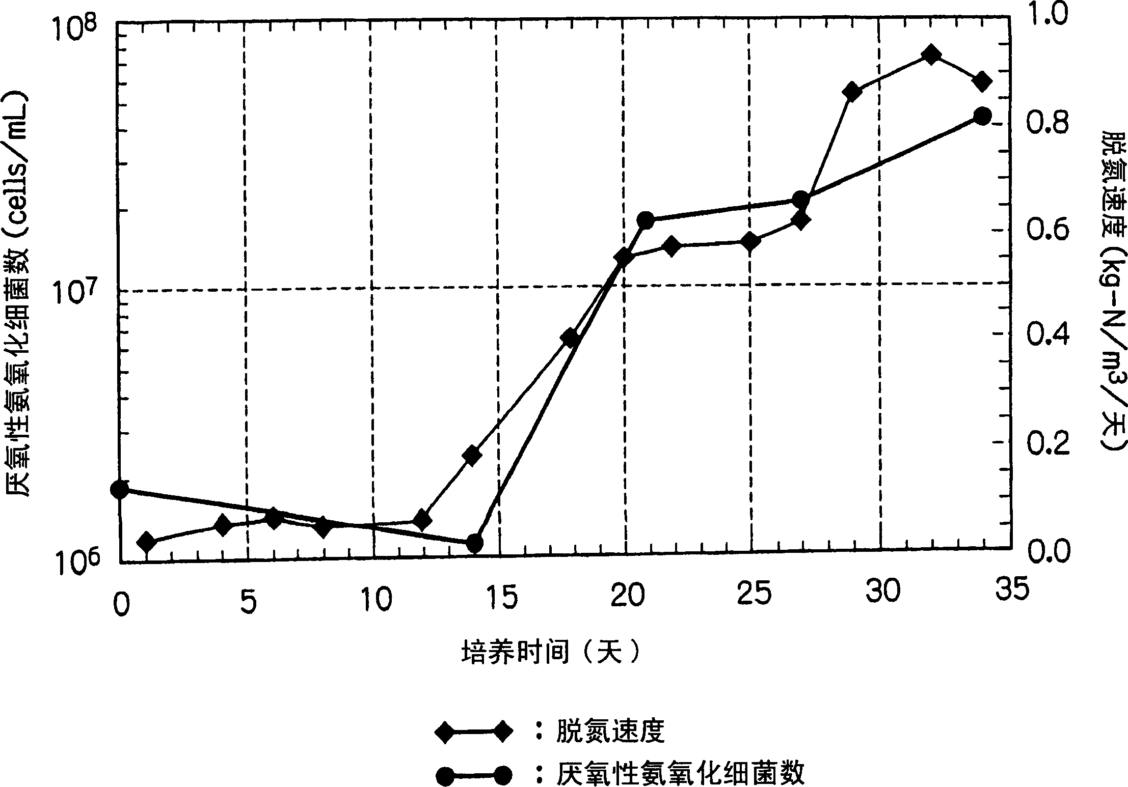 Method and equipment for cultivating anaerobic ammonium-oxidizing bacteria