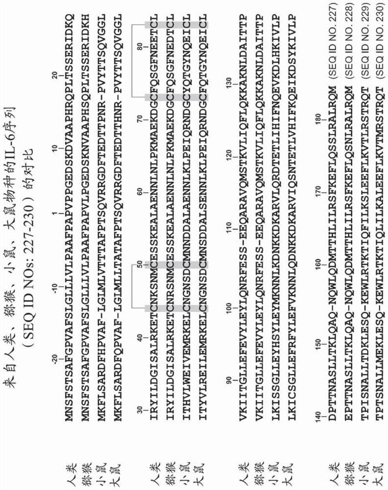 Peptide immunogens targeting interleukin 6 (il-6) and formulations thereof for immunotherapy of diseases impacted by il-6 dysregulation