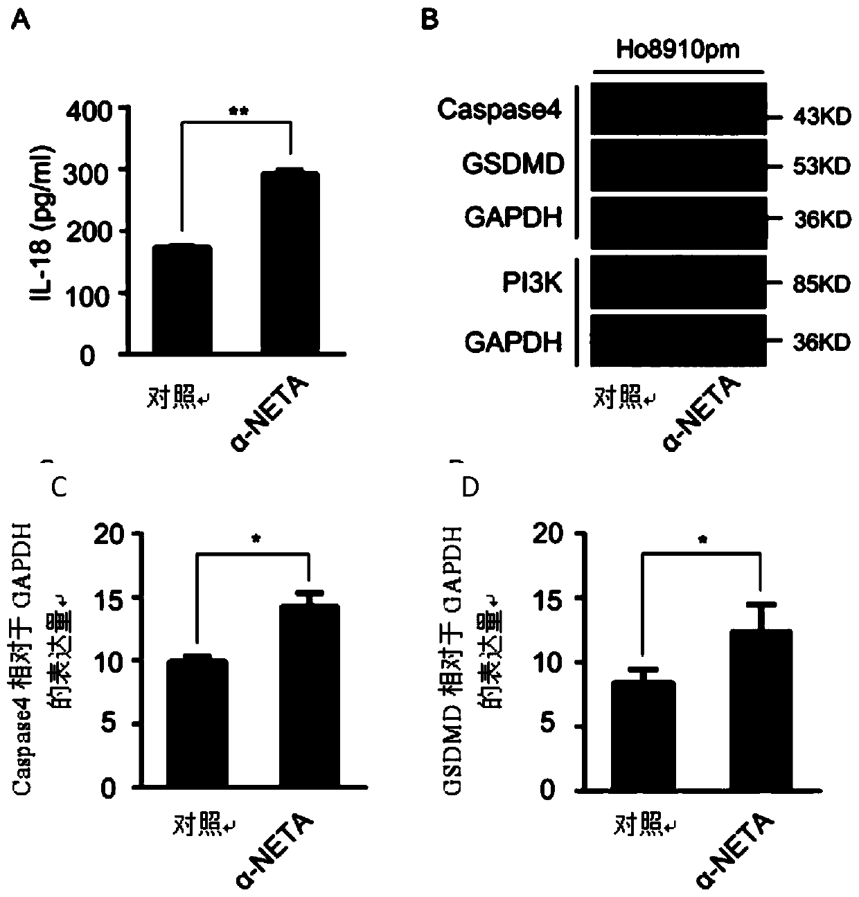 Application of alpha-NETA in induction of cell death