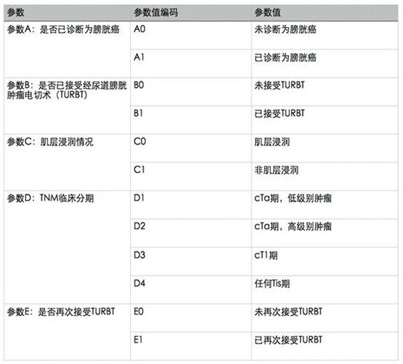 Urinary system tumor clinical decision-making, teaching and scientific research auxiliary support system and method