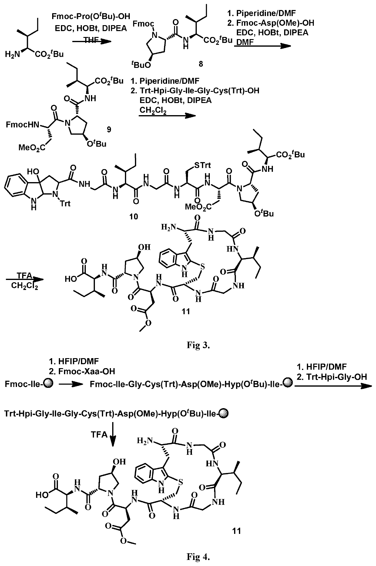 Derivatives of amanita toxins and their conjugation to a cell binding molecule