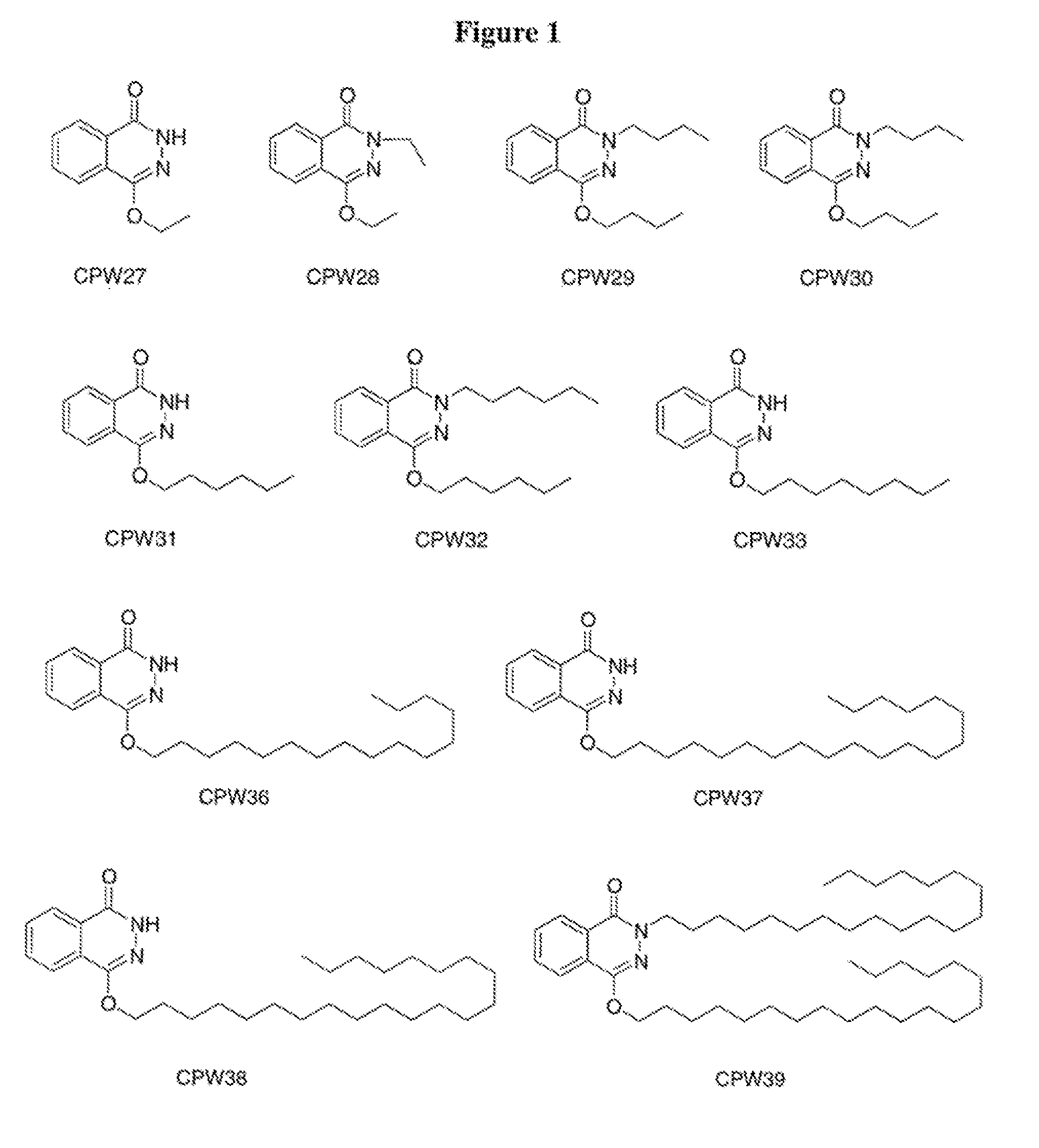 Lisofylline analogs and methods for use