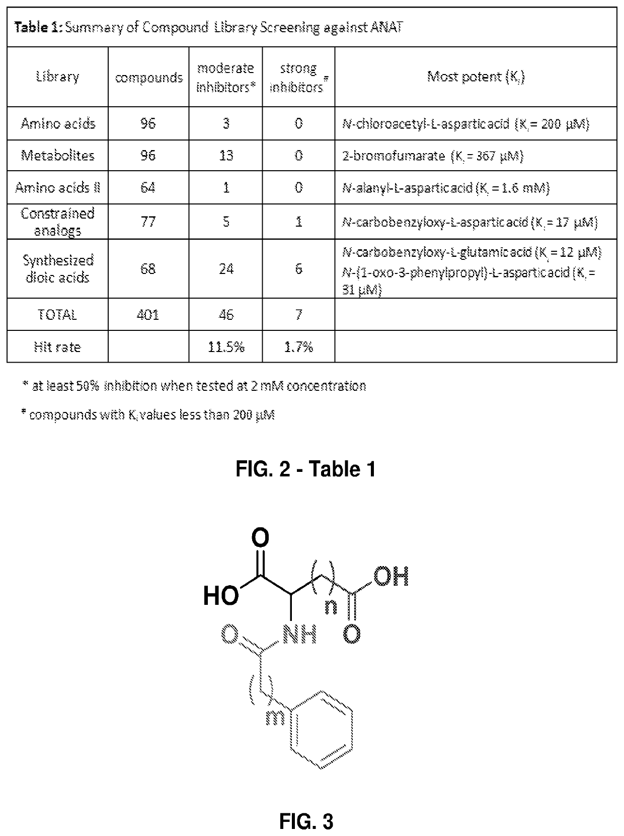 Potent inhibitors of aspartate N-acetyl-transferase for the treatment of Canavan disease