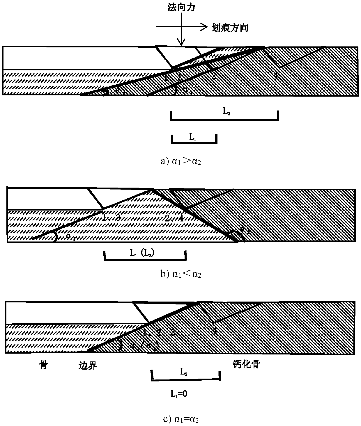 Method for testing mechanical performances of calcified bone based on nano-indentation and nano-scratch