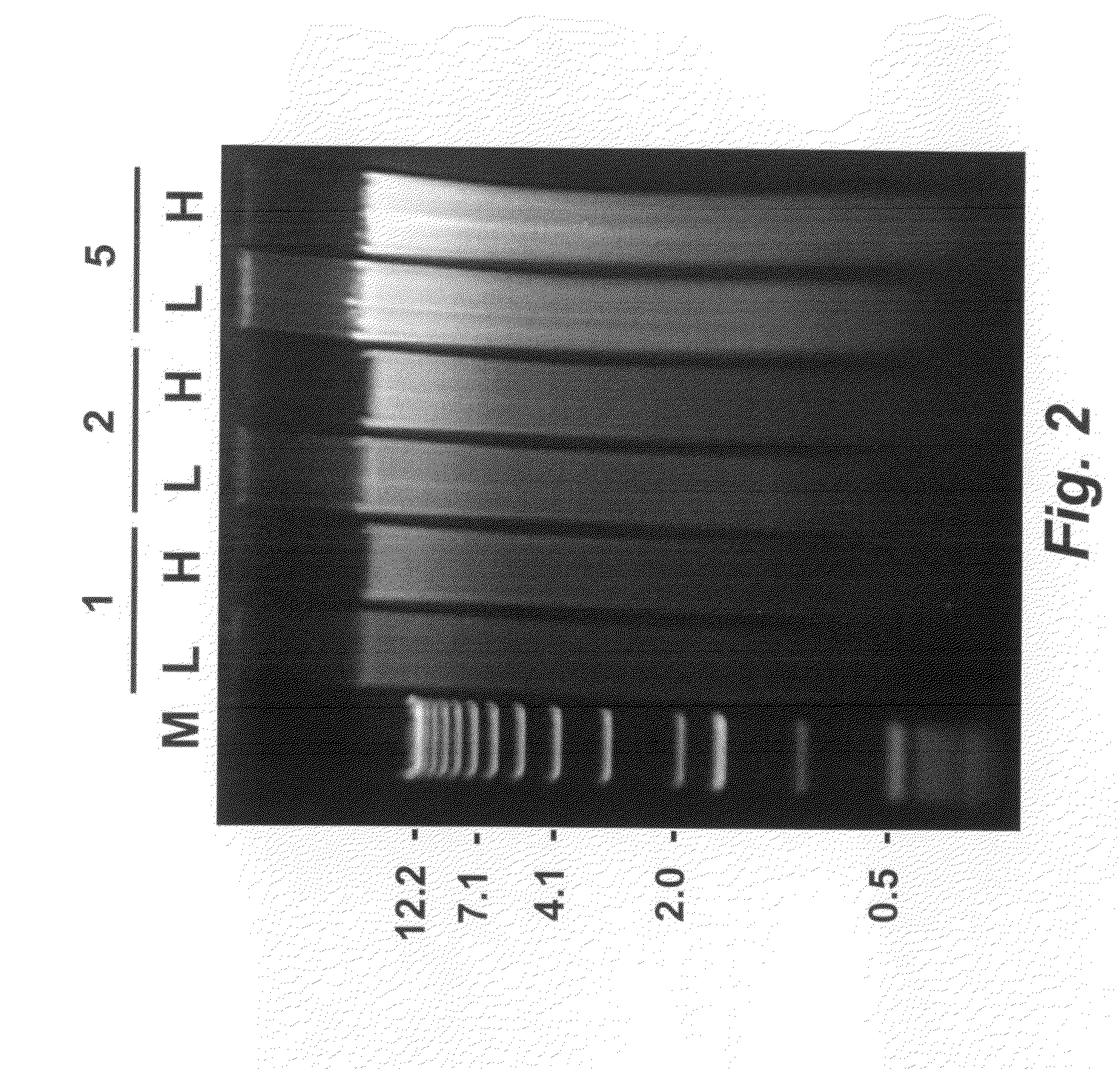 Analysis of nucleic acid obtained from nucleated red blood cells