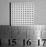 Additive Manufacturing Scaffold Combined with Gel Casting Method for Porous Calcium Phosphate Ceramics