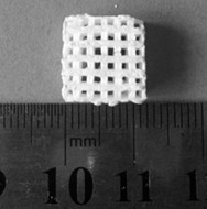 Additive Manufacturing Scaffold Combined with Gel Casting Method for Porous Calcium Phosphate Ceramics