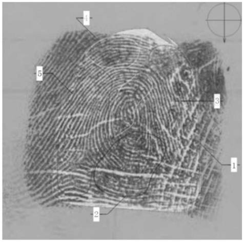 A Fingerprint Quality Evaluation Method Based on Visual Cognition Machine Learning of Line Quality Experts