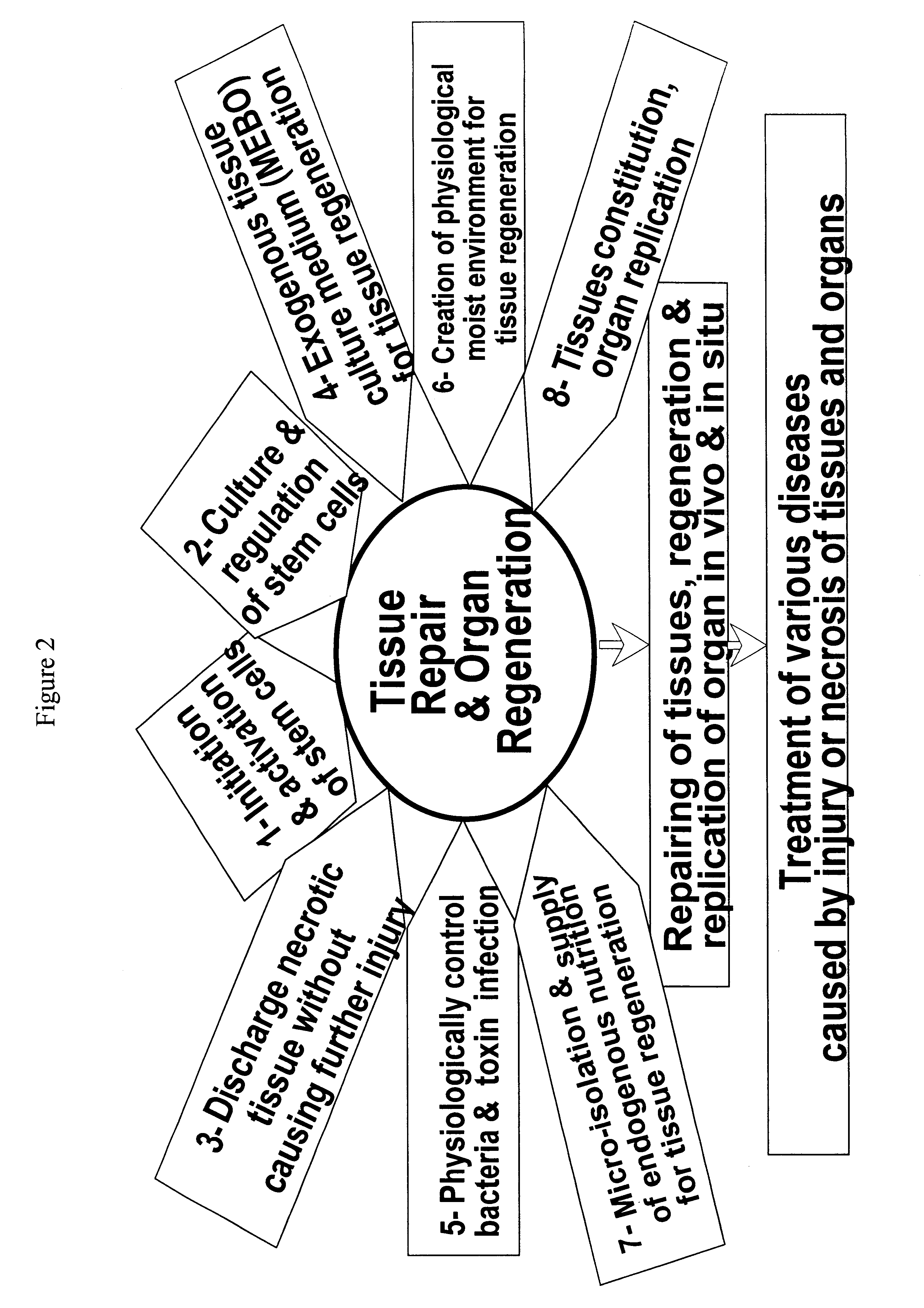 Method and composition for repairing and promoting regeneration of mucosal tissue in the gastrointestinal tract