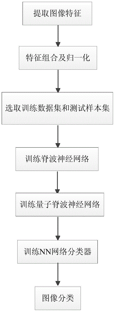 Polarized SAR (synthetic aperture radar) image object classifying method based on multi-quantum ridgelet representation